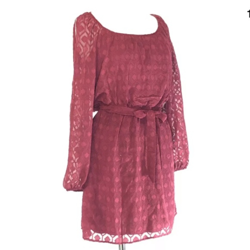 Accidentally in Love cranberry flirty dress